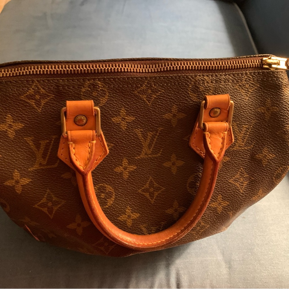 Louis Vuitton Speedy 25 Satchel